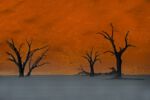 Sunrise Sossusvlei Namibia
