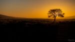 Sunset in the dessert